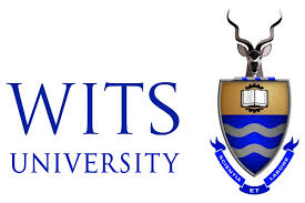 Wits Logo